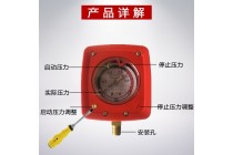 220V 控制與可調(diào)試壓力表